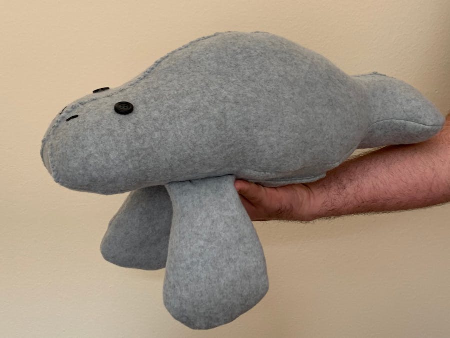 Musical Manatee