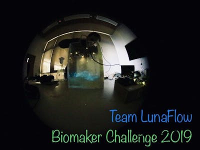 LunaFlow - Bioluminescent plankton for 3D flow visualisation