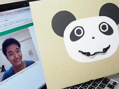 Kids Project: Empathetic Panda ~Facial Imitation~