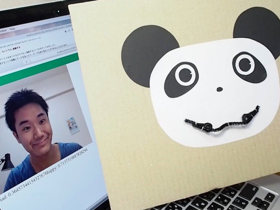 Kids Project: Empathetic Panda ~Facial Imitation~
