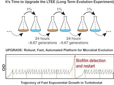 Low-cost Turbidostats for Microbial Evolution Experiments