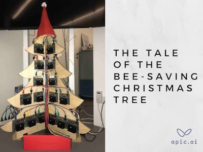 The tale of the bee-saving christmas tree