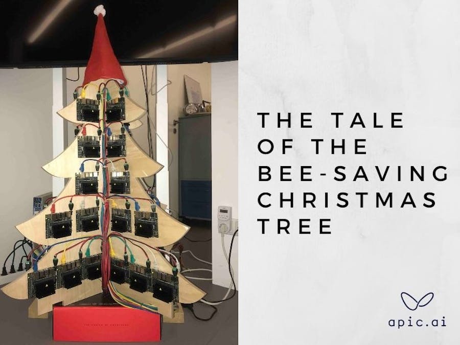 The tale of the bee-saving christmas tree