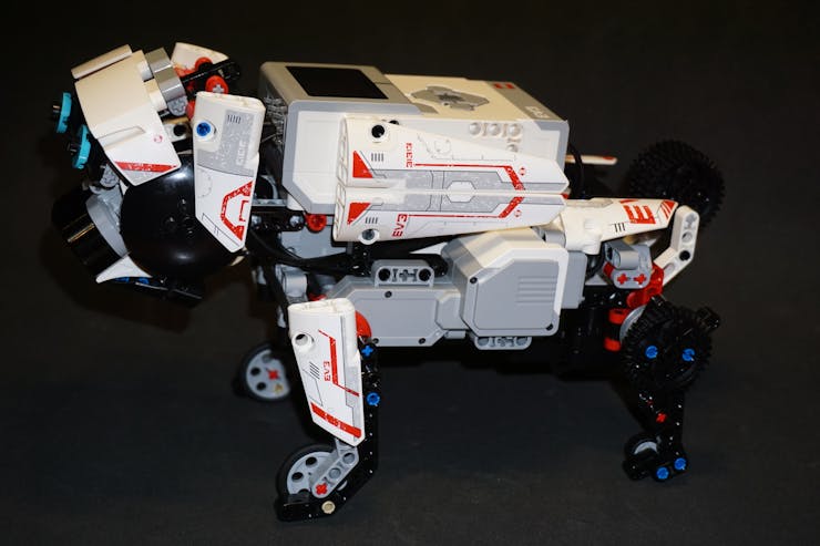 Ev3 puppy walking sales program