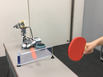 ping-pong robot