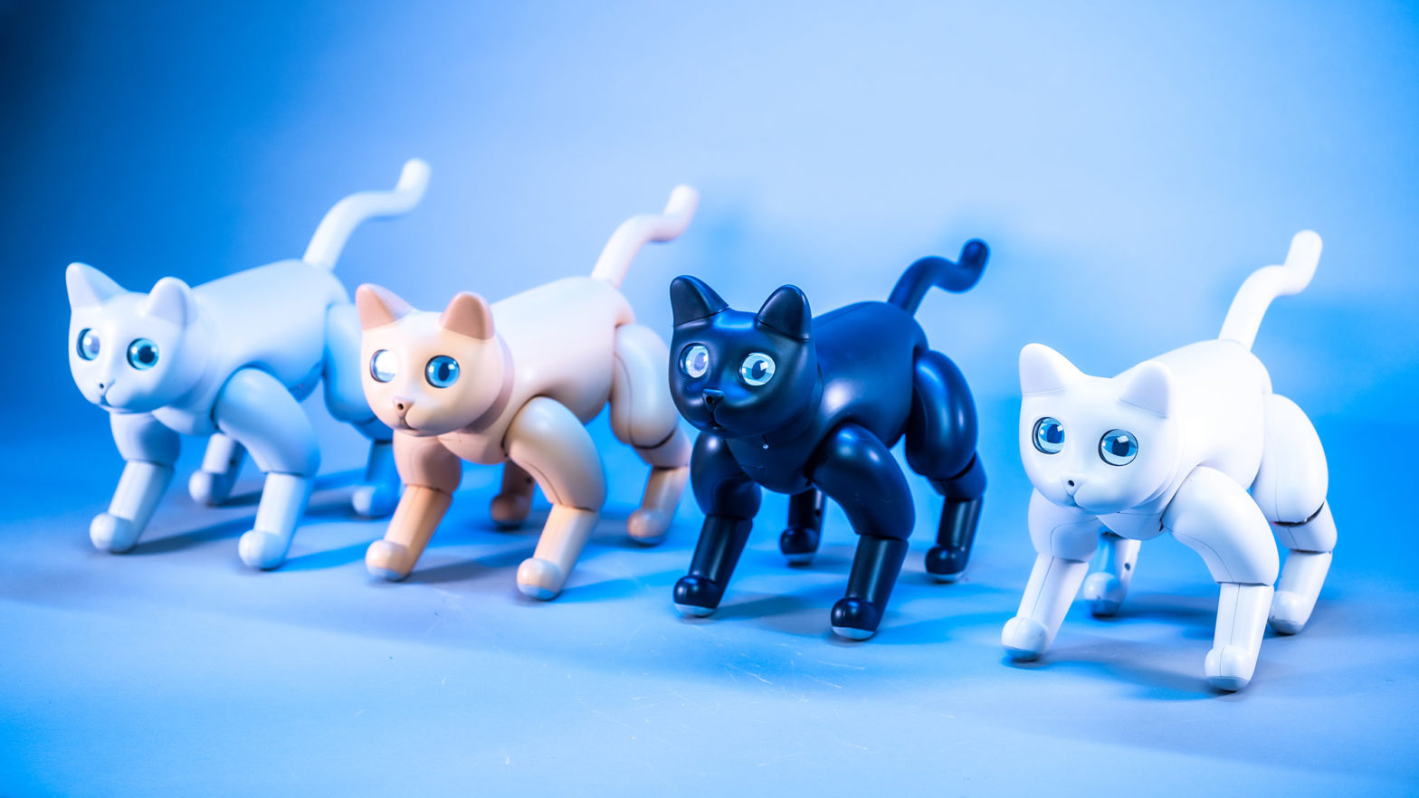 Aibo cat sale