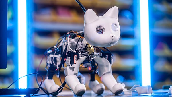 sony aibo cat