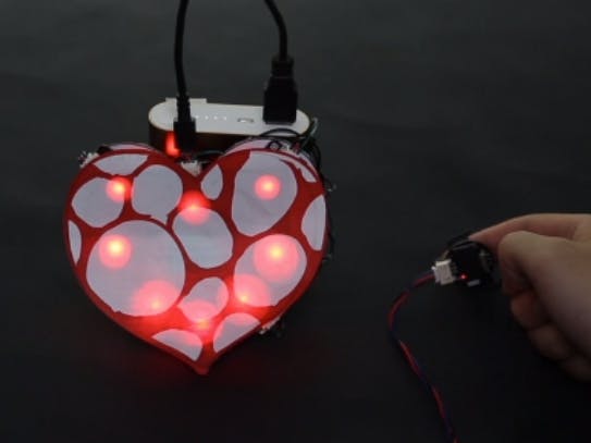 The Valentine's Day Project: A Visible Heartbeat