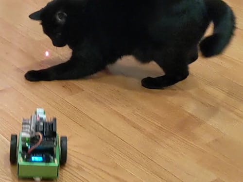 Autonomous Cat Bot