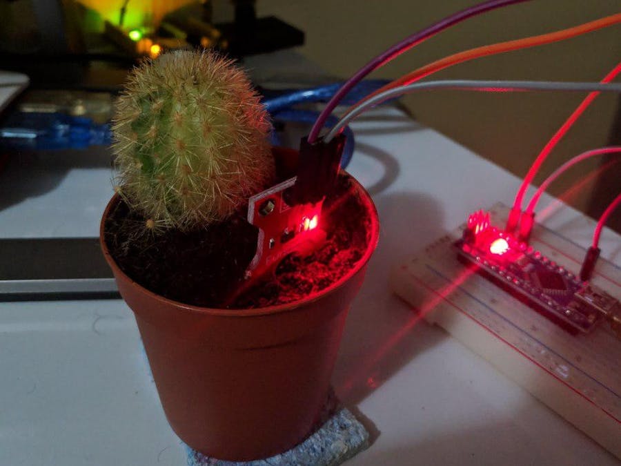 How its made: Talking Cactus