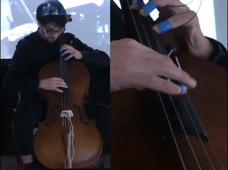 Cello christmas wrapping paper rolls