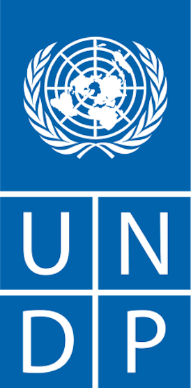 50011985-0-238px-UNDP-logo.svg.png