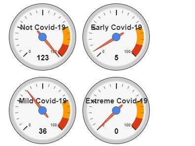 COVID-19 Estimation Online Test Based on Lung Sound