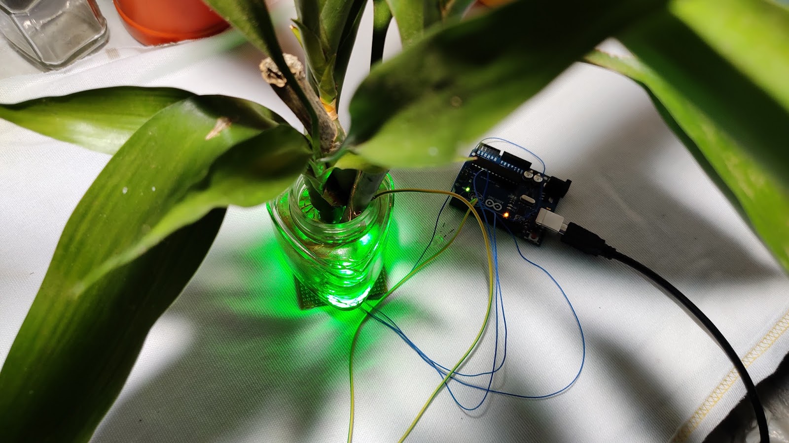 arduino plant art master