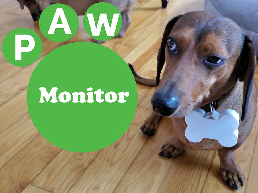 Paw Monitor
