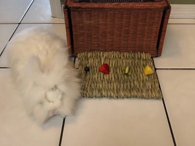 Snack Time Controller