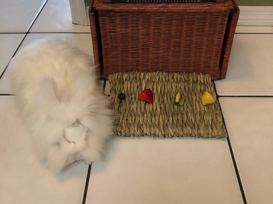Snack Time Controller
