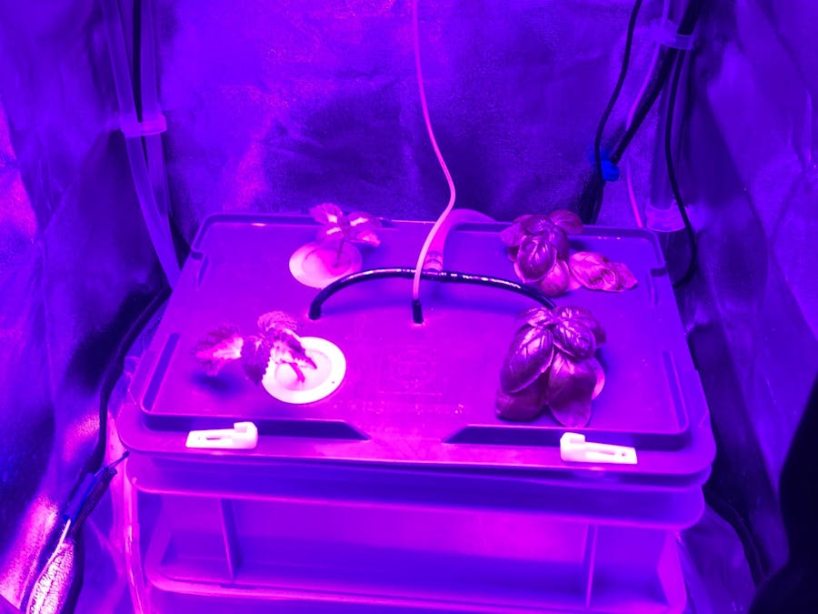 Automated Aeroponic System Wifi Remoted