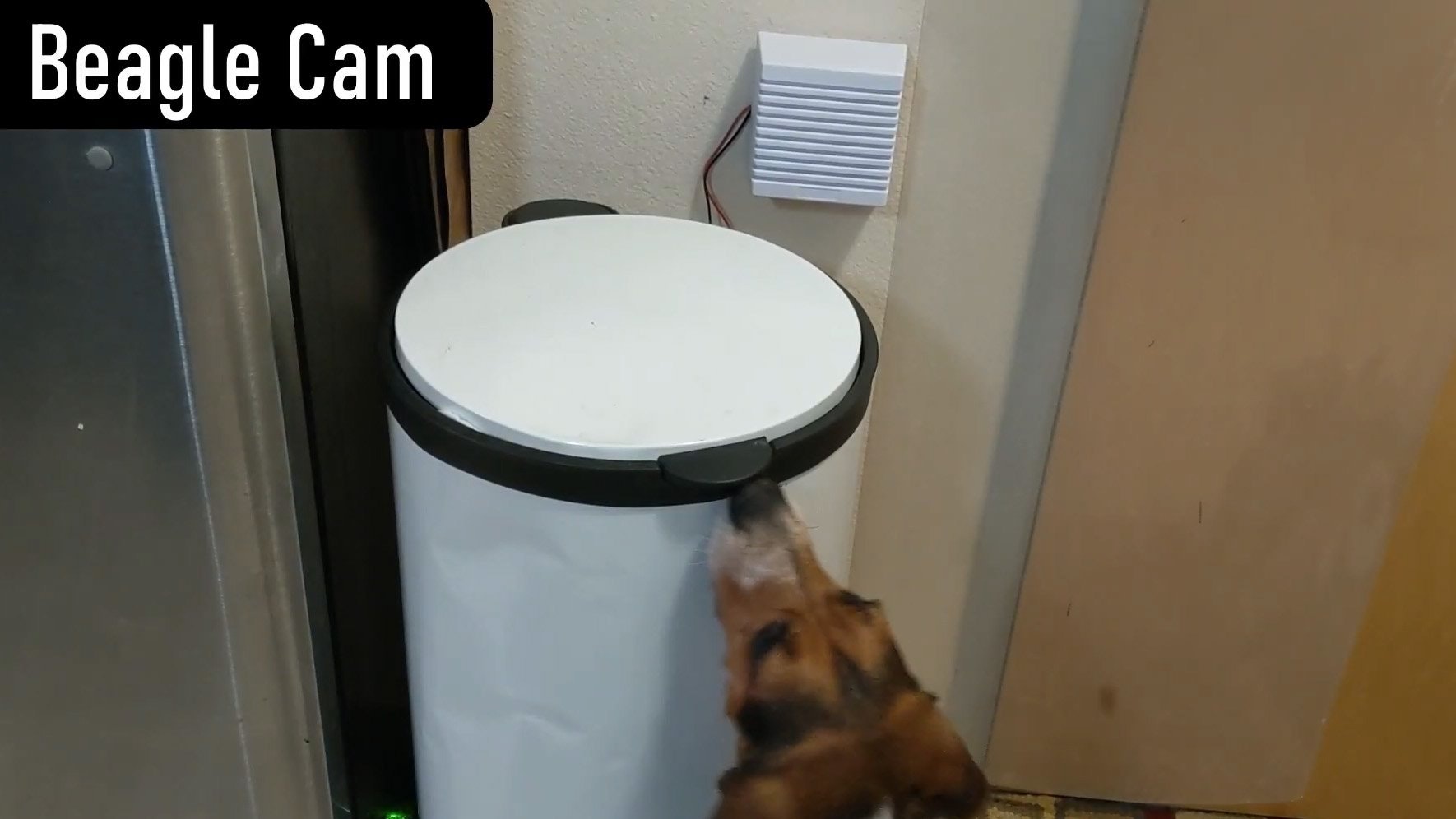 An Anti Dog Warning System for Your Trash Can Hackster.io