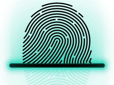 Fingerprint Identification - Realtek Ameba RTL8195