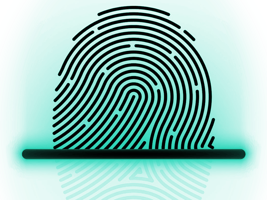 Fingerprint Identification - Realtek Ameba RTL8195