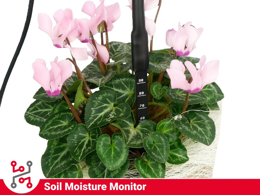 Measure Soil Moisture with HARDWARIO IoT Kit