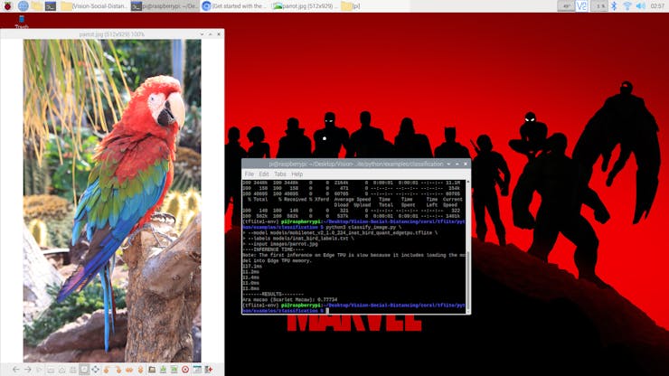 Screenshot - Classification Example Inference