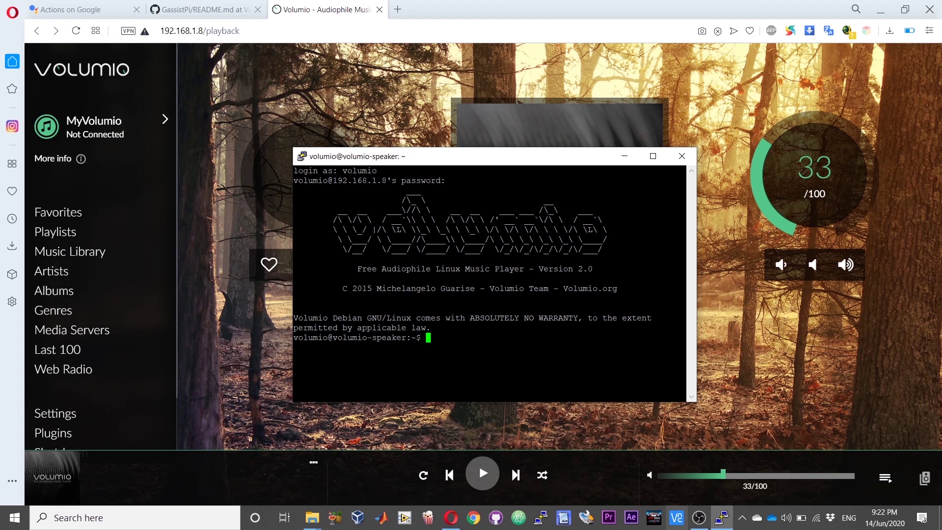 volumio google home