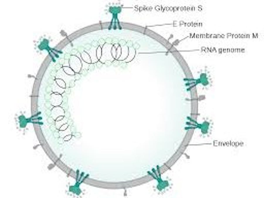 Covid Lens - The future of health. Together Forever