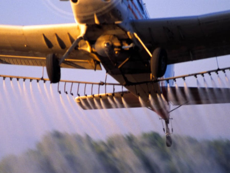 Disease Spread Terminator