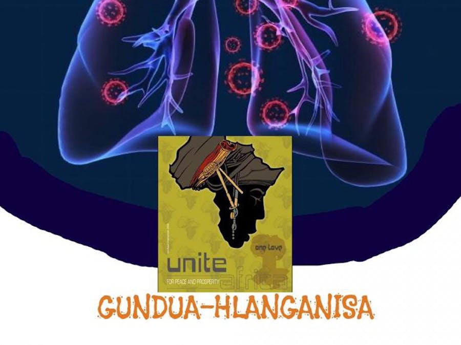 GUNDUA-HLANGANISA : Diagnosis using assembling method