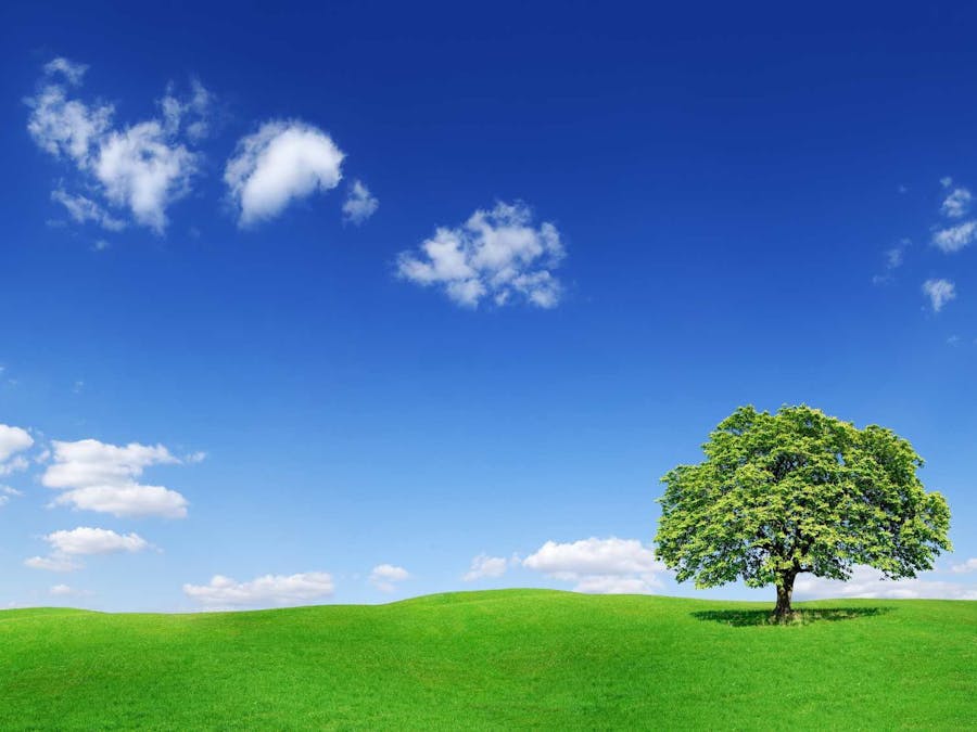 Monitoring of Indoor environmental conditions