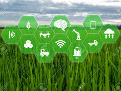 Smart Farm - The future of agriculture