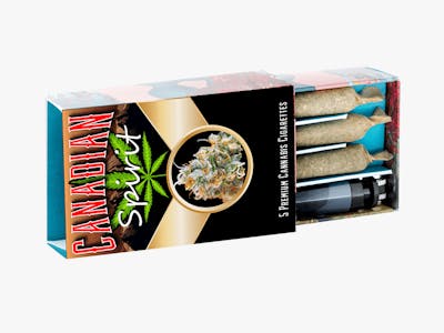 Want to Know All About Pre-Rolls? So, Please Have A Look to