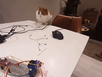 Arduino Cat laser toy DIY