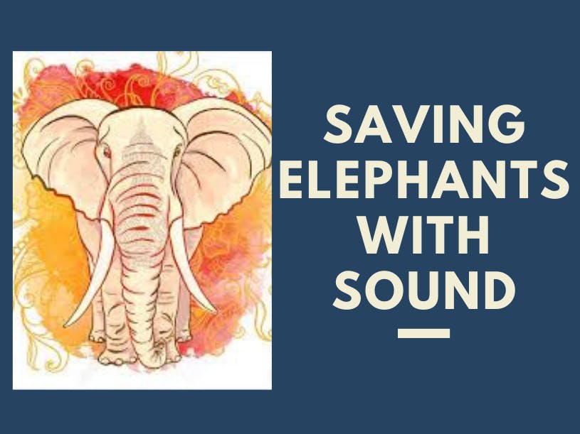 Elephant Behaviour Classification from Sound