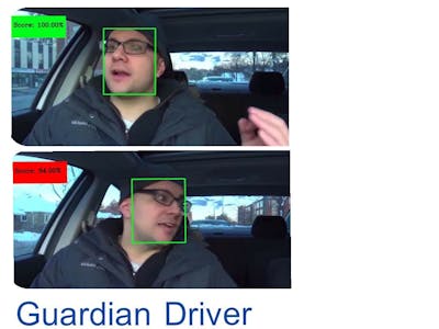 Guardian Driver