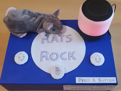 Rats Rock!