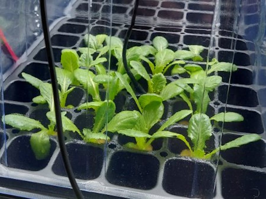 Professional Hydroponics Germination Control