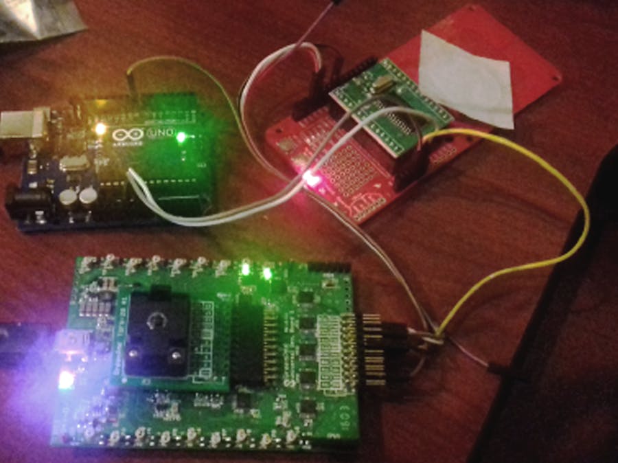 RFID Sensor Dog Door