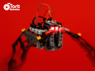 A DIY Flapping-wing Robotic Bat