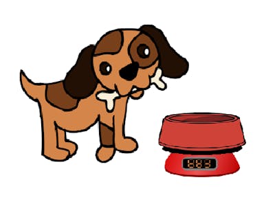 Dog Bowl Capacity Tracker