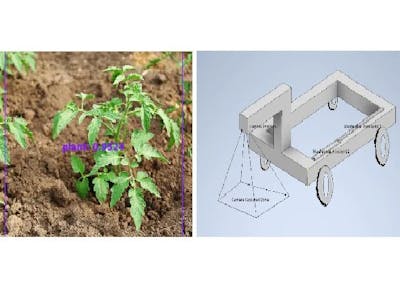 Automatic Weed Removal Robotic System