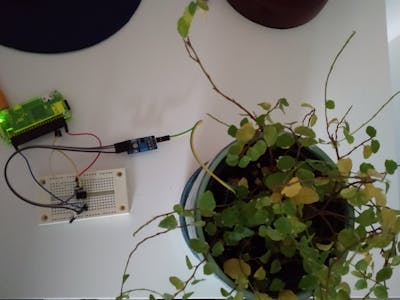 Tweeting Plant - using atTiny85, Raspberry Pi Zero and soil