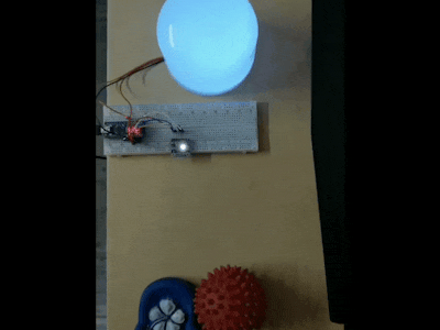 DIY Chameleon Lamp