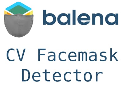 BalenaFin Facemask Detector