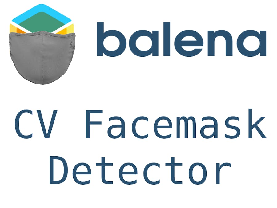 BalenaFin Facemask Detector
