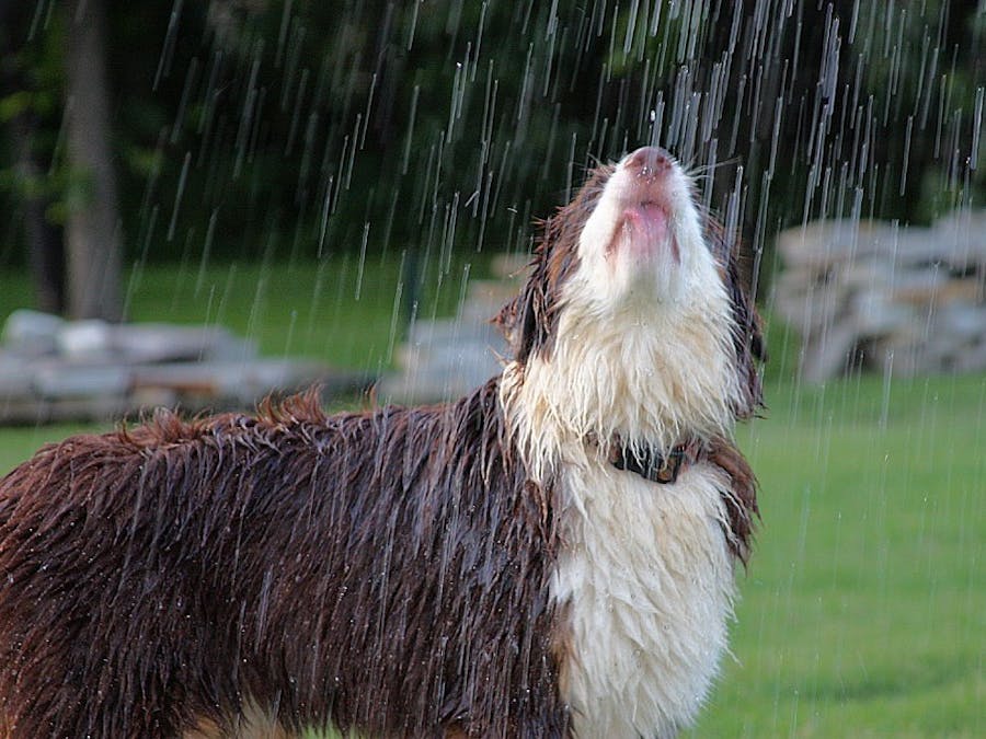 Rainfall Detector- Voice notification, Mail, Telegram, SMS.