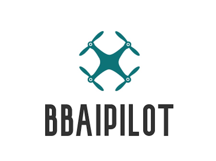BBAI Pilot