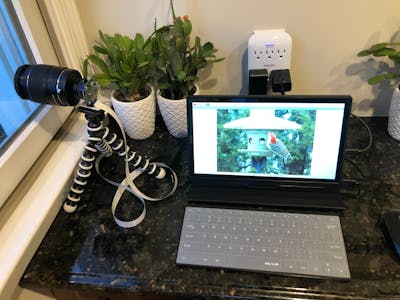 ML-Based Bird and Squirrel Detector (Raspberry Pi and AWS)